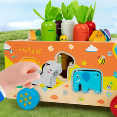 Carrot Pulling Fishing Pairing Block Toy for Kids