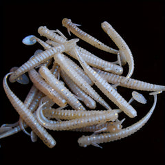 8pcs Paddle Tail Soft Lure Swimbait Fishing Freshwater Saltwater