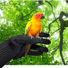 Parrot Bite Prevention Gloves Pet Bird Handling Accessories