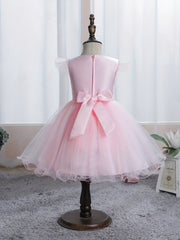 Baby Girls Floral Embroidery Mesh Gown Dress For Party Gift