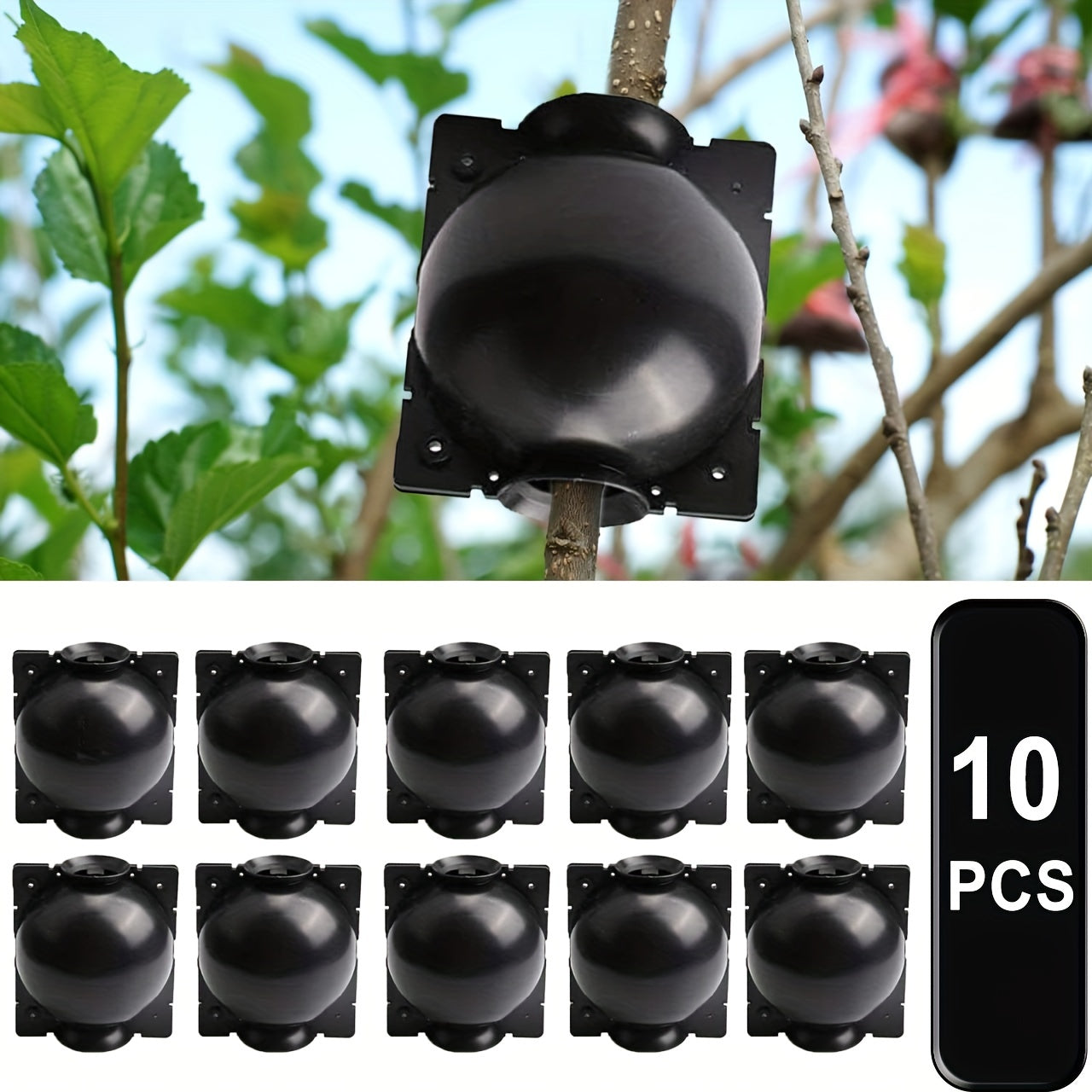 10pcs Reusable Plant Root Growth Box Grafting Equipment