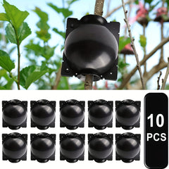 10pcs Reusable Plant Root Growth Box Grafting Equipment