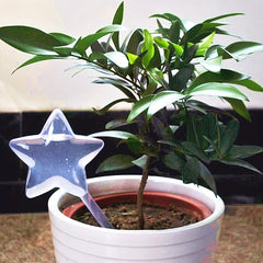 Automatic Watering Device for Houseplants