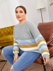 Colorblock Long Sleeve Sweater Women's Plus Casual Pullover Sweater