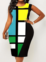 Colorblock Round Neck Slim Fit Tank Dress