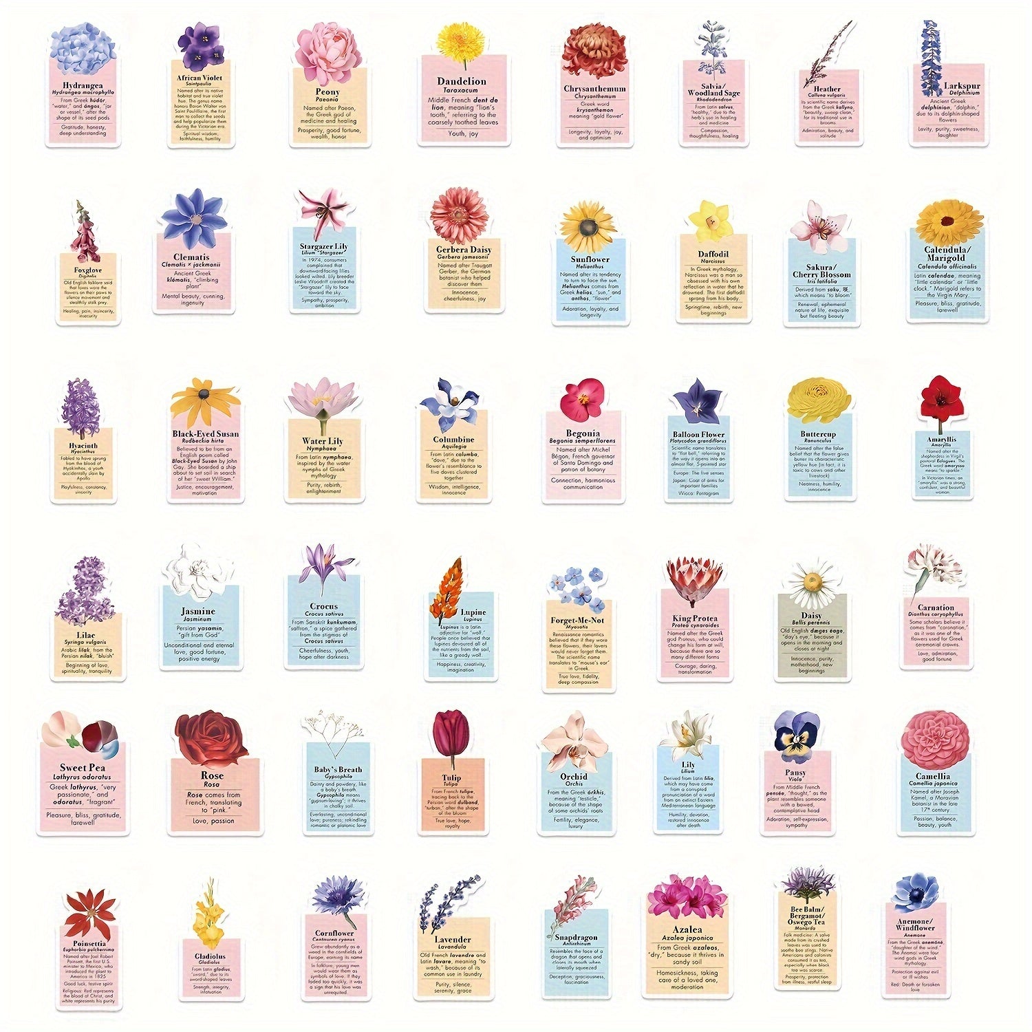 50pcs Flower Language Label Graffiti Stickers for DIY Water Cup Laptop Helmets