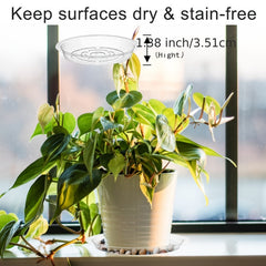 12pcs Clear Plastic Plant Saucer Drip Trays Small Plant Plate Dish