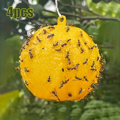 Effective Fly Trap for Bees Flies Mosquitoes, Set of 4