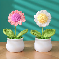 Handmade Crochet Wool Eternal Flower Daisy Tulip Gift