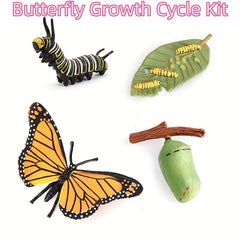Insect Growth Stages Figurine Ladybug Butterfly Tadpole Frog PVC