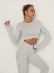2pcs Seamless Yoga Sets Long Sleeve Top & Leggings Women's Activewear