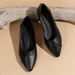 Women's Chunky Heel Point Toe Slip On Shoes