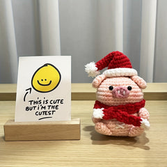 Christmas Piggy Crochet Kit with Videos & Supplies - Beginner Friendly