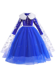 Ice Queen Cosplay Costume - Princess Dress with Cloak