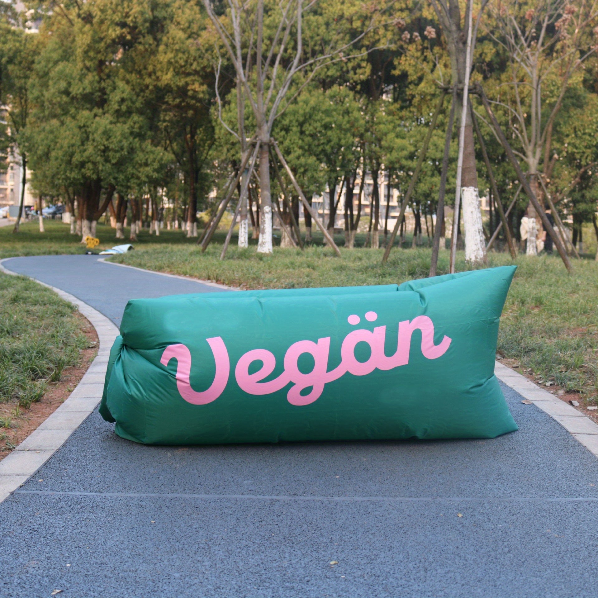 Portable Multicolor Inflatable Cushion Mattress for Outdoor Camping