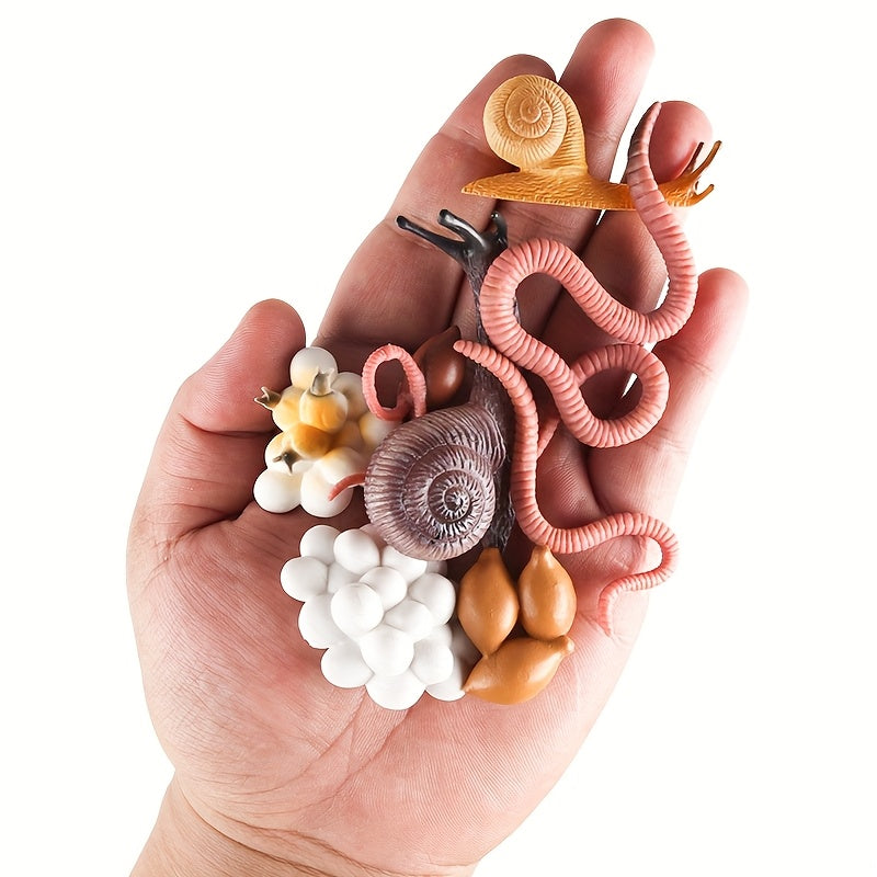 8pcs Snail & Earthworm Life Cycle Figurines Toy Set - Educational Project Birthd