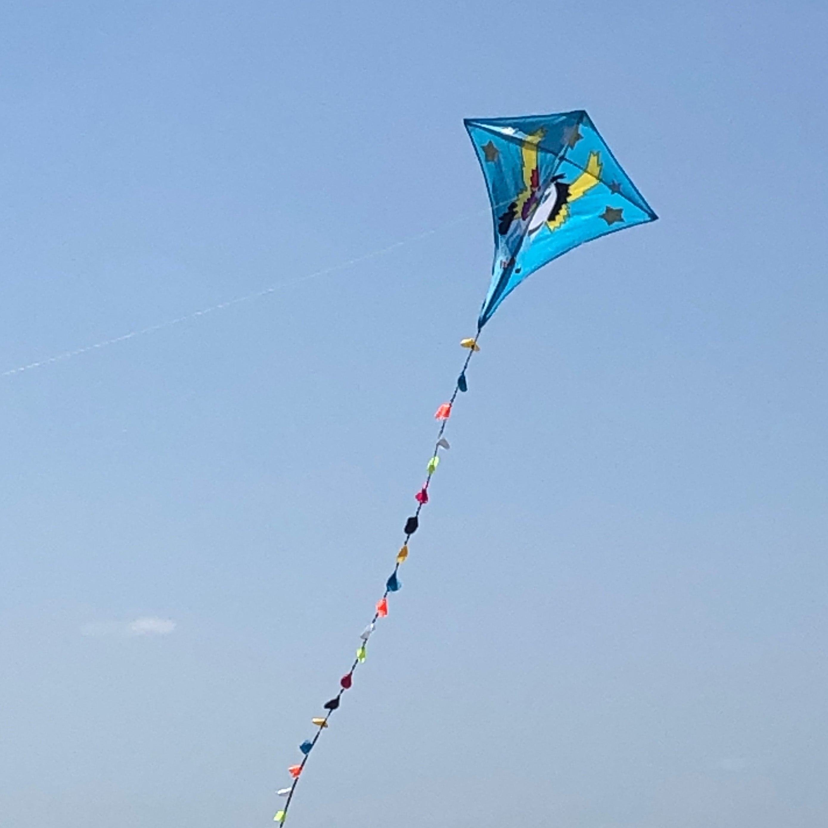 Sky Horse Kite 30m Flying Line D handle Beach Park Yard Outdoor Entertainment