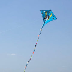 Sky Horse Kite 30m Flying Line D handle Beach Park Yard Outdoor Entertainment