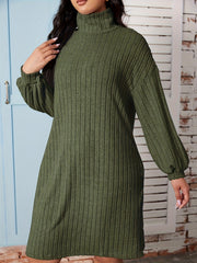 Ribbed Long Sleeve Maxi Dress