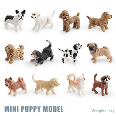 Dog Models Shiba Inu Chihuahua Bulldog Golden Retriever