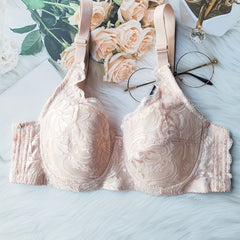 Lace Push Up Bra Scallop Trim Women's Lingerie