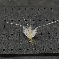 50pcs Spotted Tying Features For Flies Bait Hook Fly Tying Material