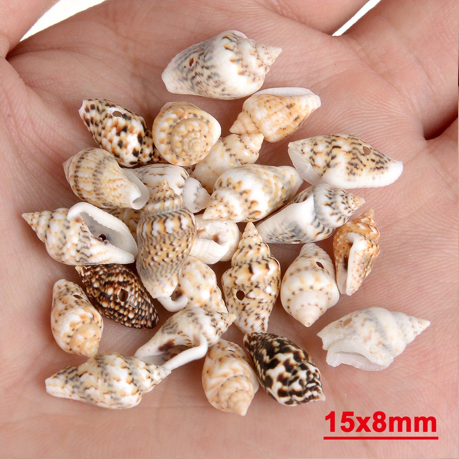 30pcs Sea Conch Shell Beads Cowrie Charm DIY Necklace Bracelet Accessories