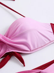Ombre Twist Halter Tie Neck Bikini High Strech Low Waist 2 Piece Swimsuit