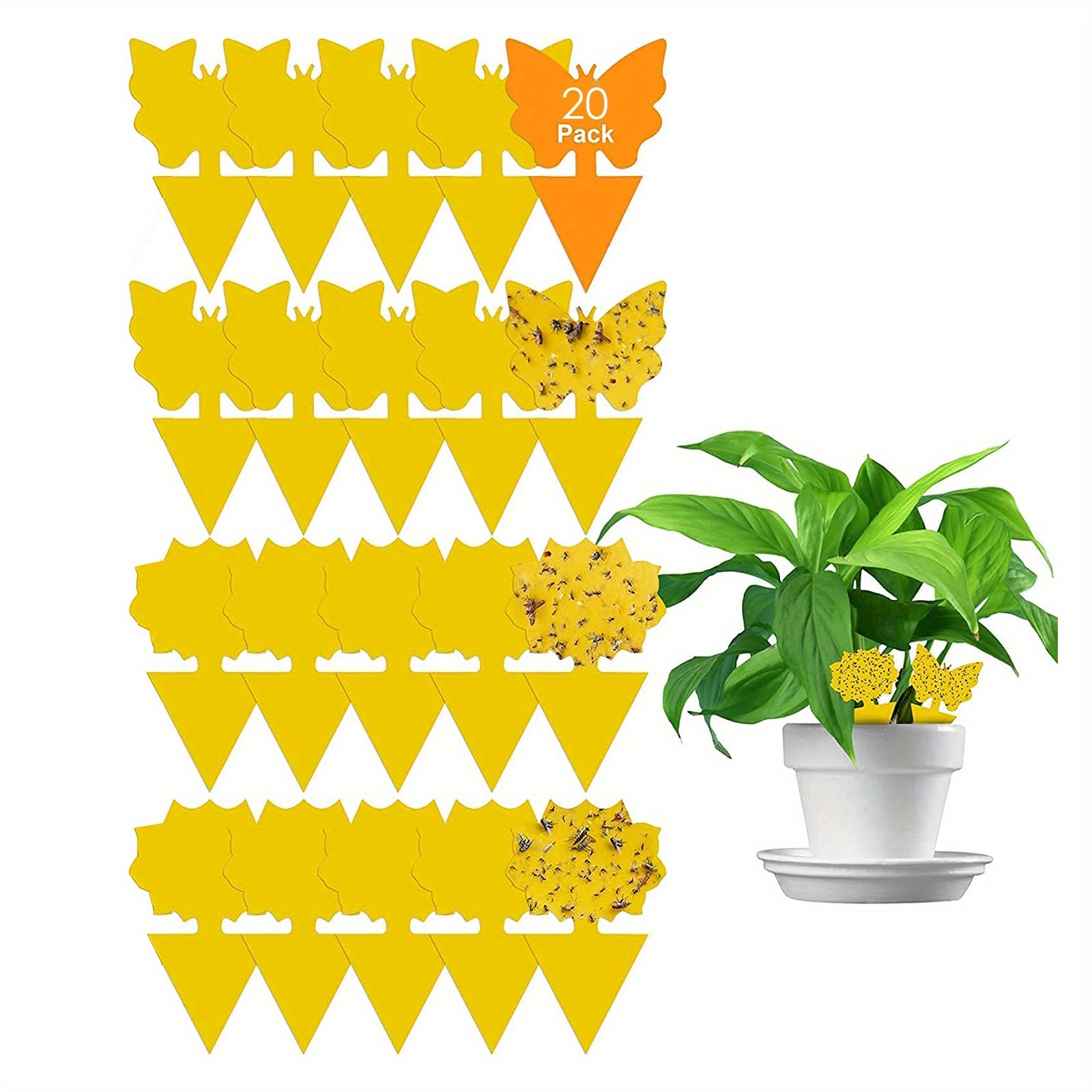 Fruit Fly Traps Fungus Gnat Traps Yellow Sticky Bug Traps - Non Toxic & Odorless
