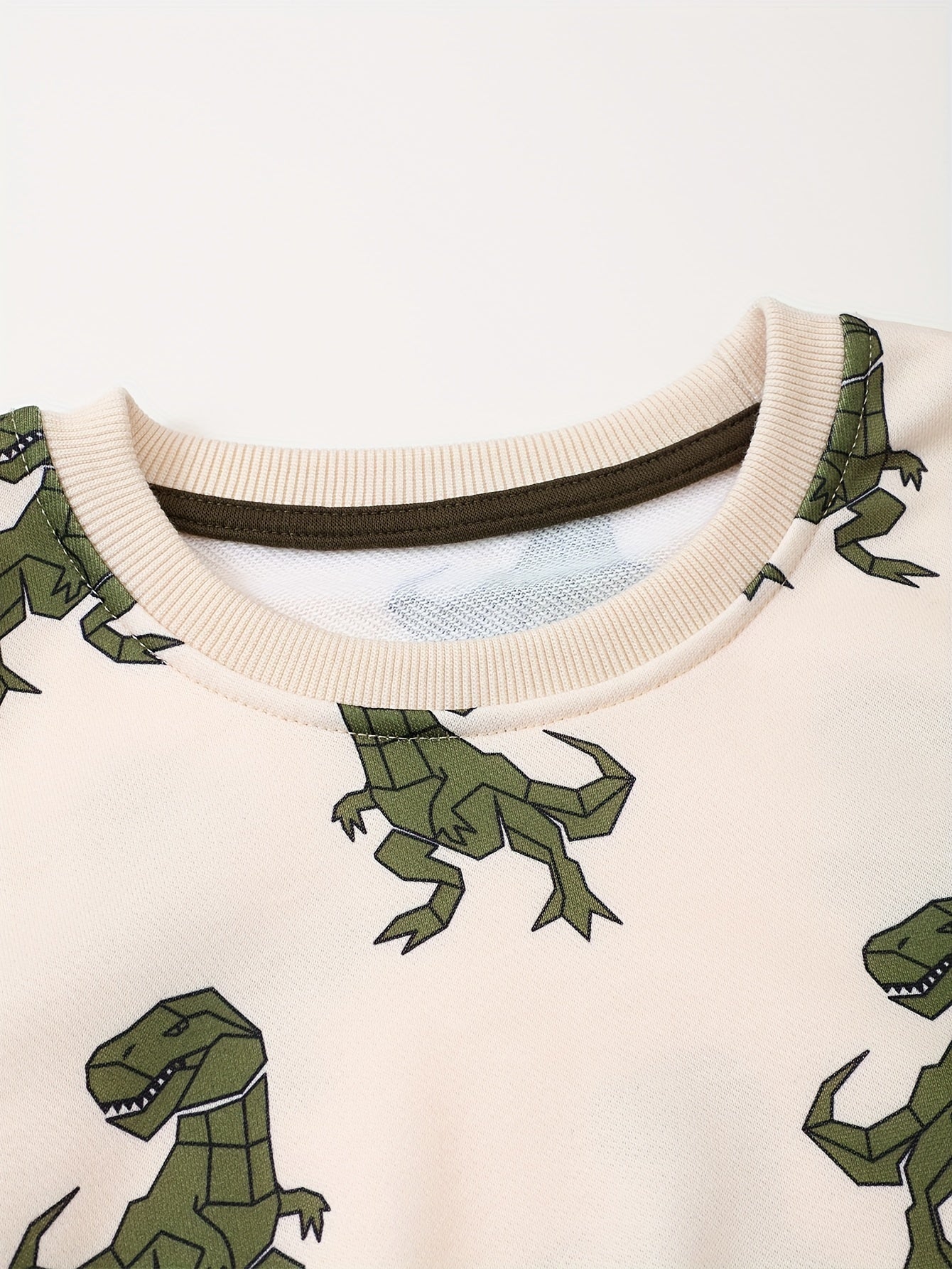 Dinosaur Pattern Sweatshirt Boys Long Sleeve Pullover Top