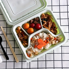 Square Disposable Lunch Box for Takeout