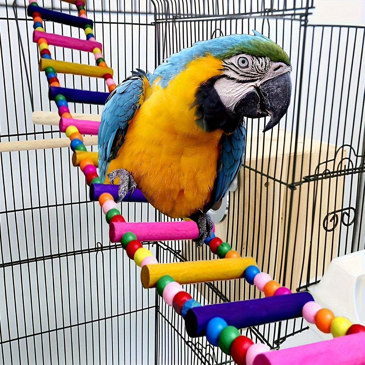 Colorful Parrot Swing Bridge Climbing Ladder