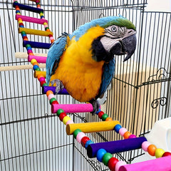 Colorful Parrot Swing Bridge Climbing Ladder