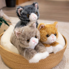 Realistic Cat Plush Toy for Kids, Boys & Girls