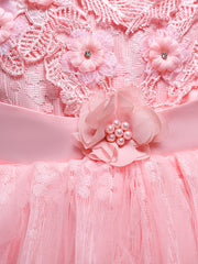 Christmas Toddler Girls Flower Plant Embroidery Lace Party Dress