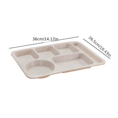 Outdoor Food Tray With Compartments Divided Dinner Plate