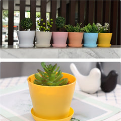 16pcs Plastic Planters Indoor Flower Plant Pots Mini Flower Seedlings Nursery