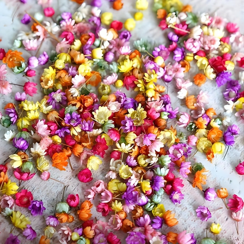 140pcs DIY Dry Flowers Handcraft Decoration Material