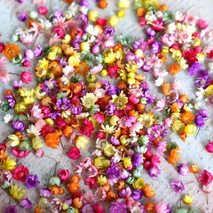 140pcs DIY Dry Flowers Handcraft Decoration Material