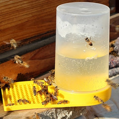 Bee Water Feeder for Bee Box Supplies