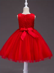 Girls Sleeveless Princess Tutu Dress Flowers Embroidery Tulle Performance Dress
