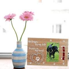 Furry Perfect Pet Memorial Frame with Collar