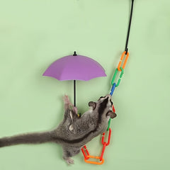 Sugar Glider Toys for Hamsters - Climb and Swing Away