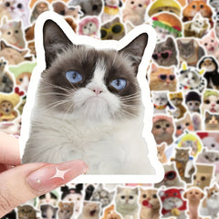100pcs Funny Cat Series Stickers Laptop Helmet Desktop Water Cup Decor