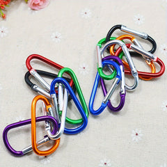 10 Pack Heavy Duty Carabiner Keychains for Camping, Hiking, Climbing