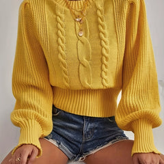 Twist Patten Crew Neck Pullover Sweater Womens Fall Winter Casual Lantern Sleeve