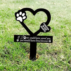 img_6596258