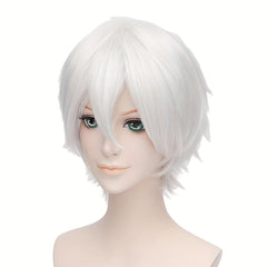 Anime Wigs For Men Cosplay Wigs