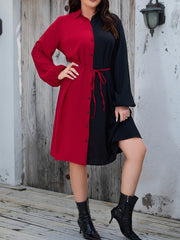 Colorblock Lantern Sleeve Shirt Dress With Belt