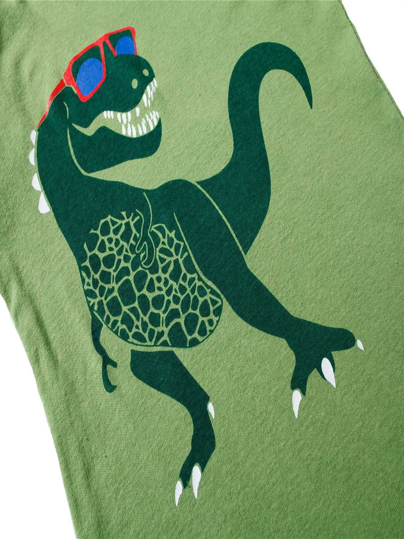 2pcs Boys Dinosaur Pajama Set Crew Neck Loungewear